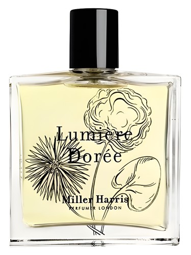 Lumière Dorée