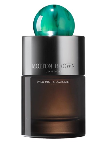 Wild Mint Lavandin