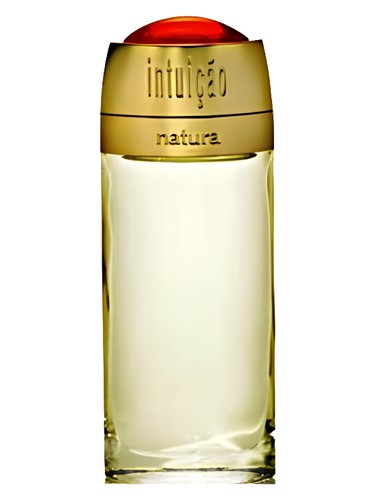 Intuicao