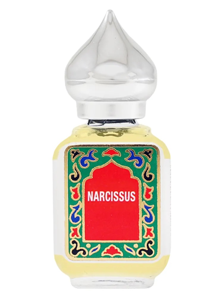 Narcissus