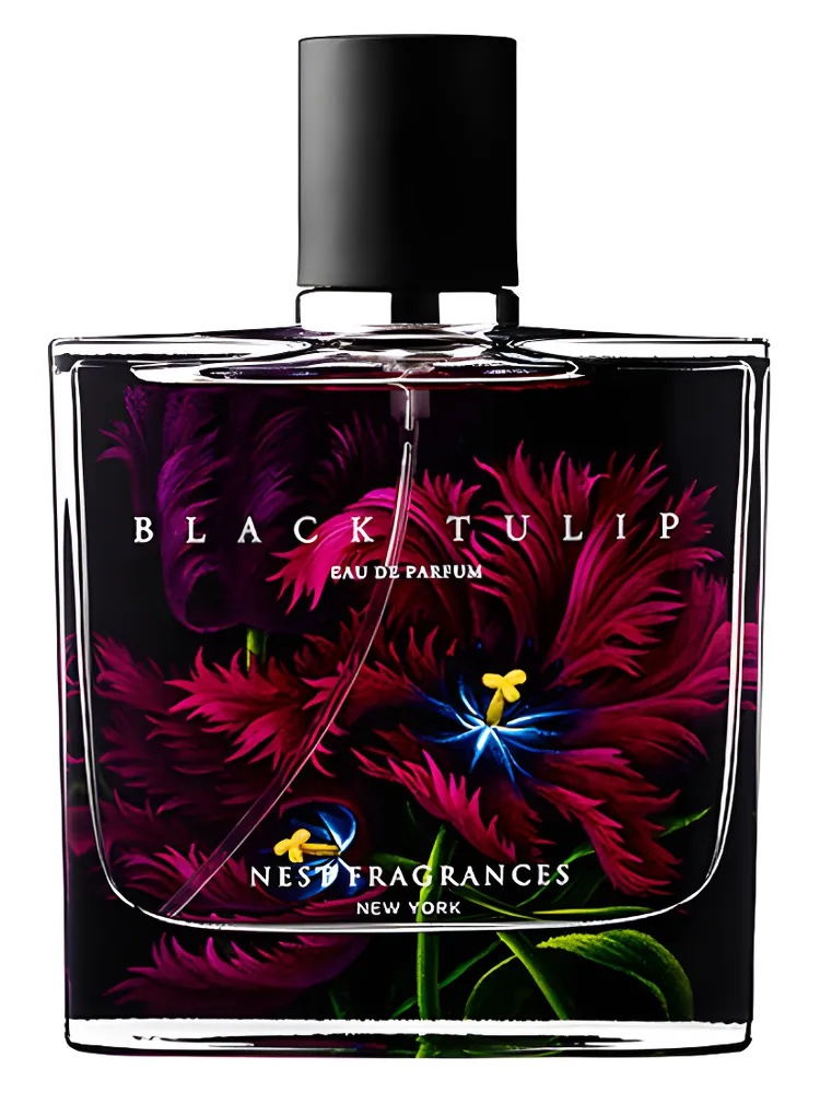 Black Tulip
