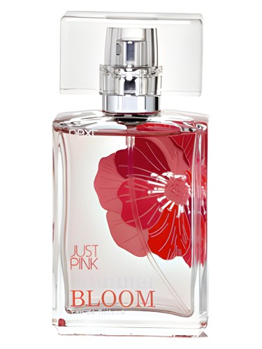 Just Pink Bloom