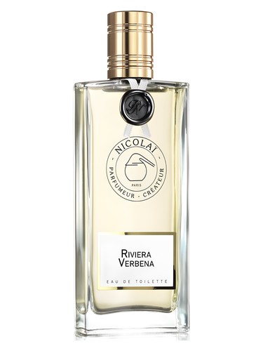 Riviera Verbena