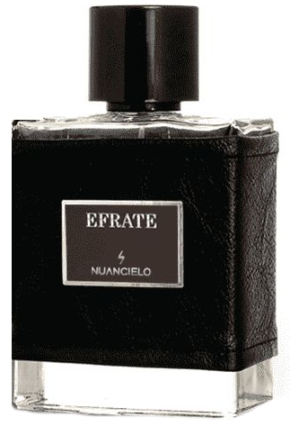 Bottle image