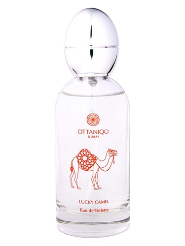 Lucky Camel