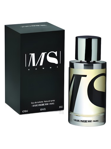 MS Homme