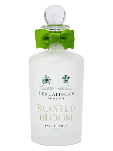 Blasted Bloom