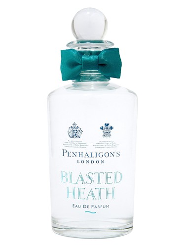 Blasted Heath