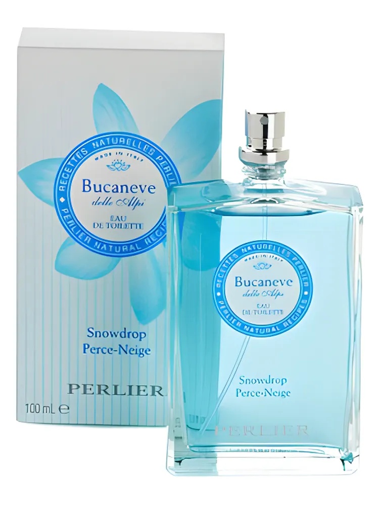 Bucaneve (Snowdrop)