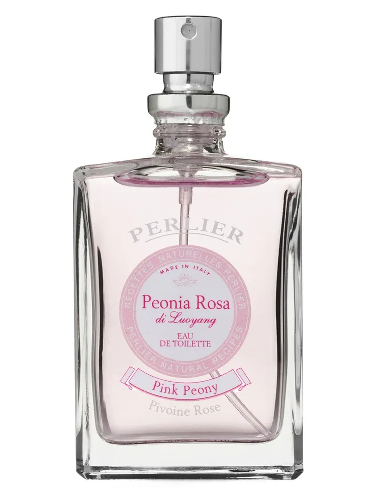 Peonia Rosa