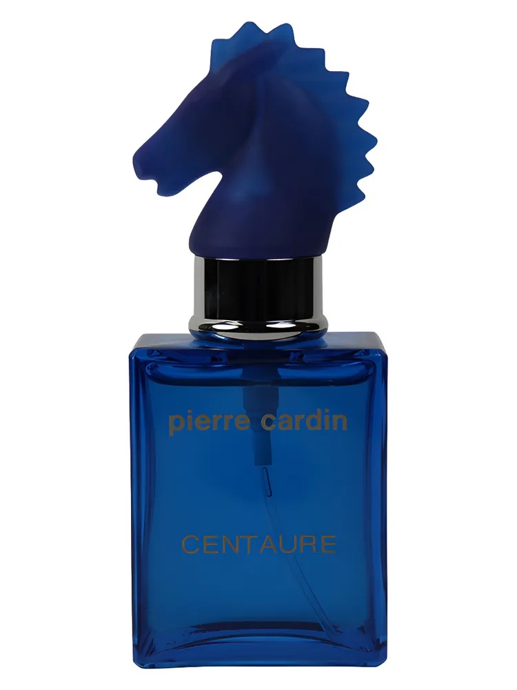 Centaure Cuir Casaque