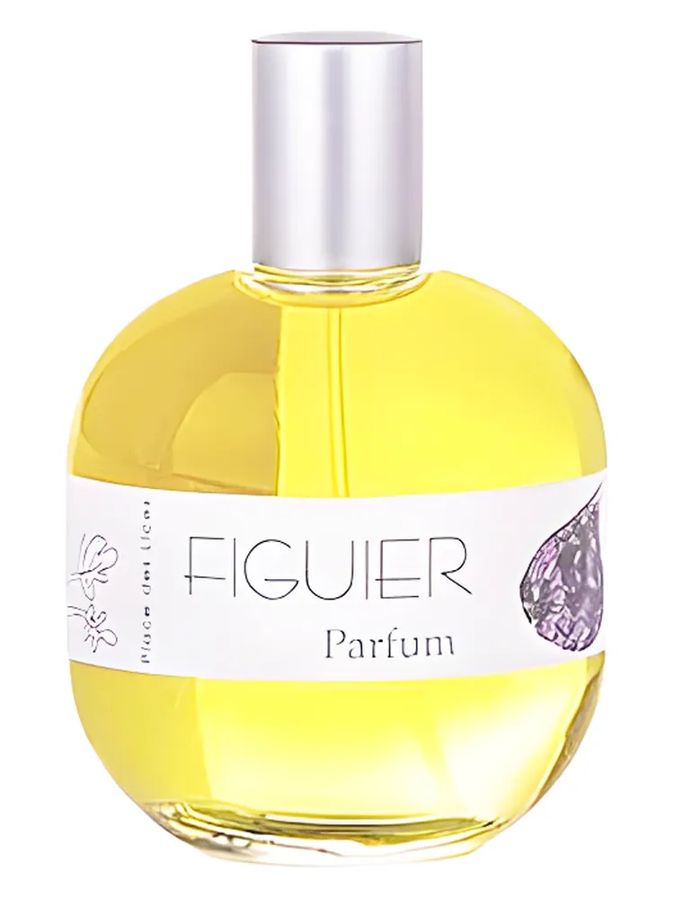 Figuier