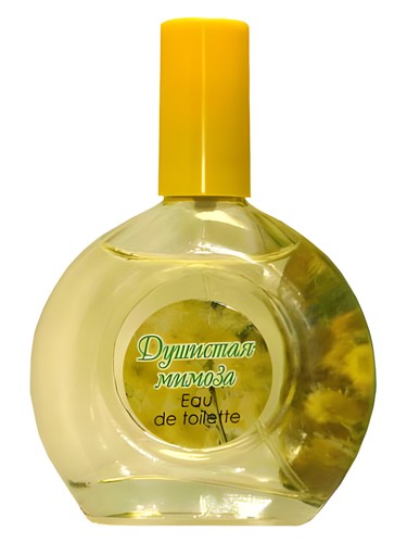 Sweet Mimosa
