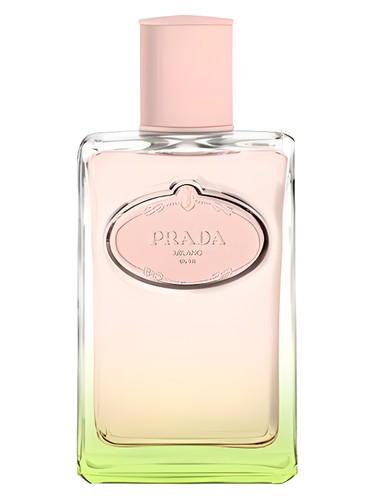 Infusion D Iris L Eau D Iris