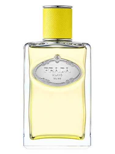 Infusion D Ylang