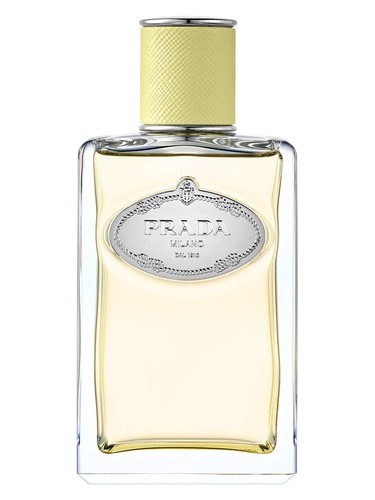 Infusion De Gingembre