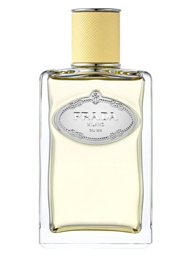 Infusion De Mimosa