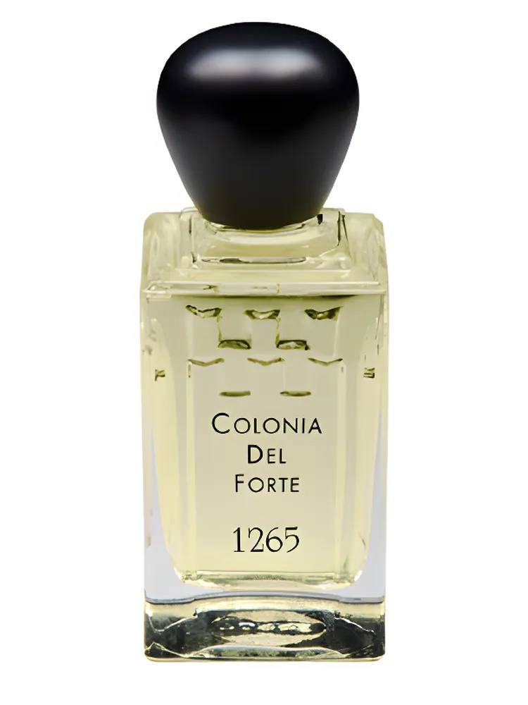 Colonia del Forte 1265