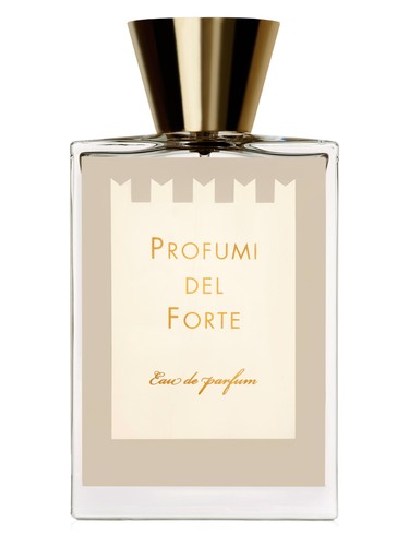 Vetiver Moderno