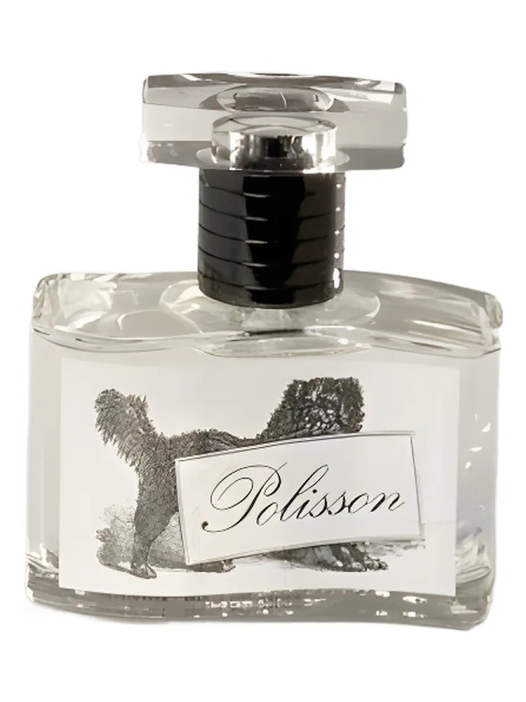 Polisson