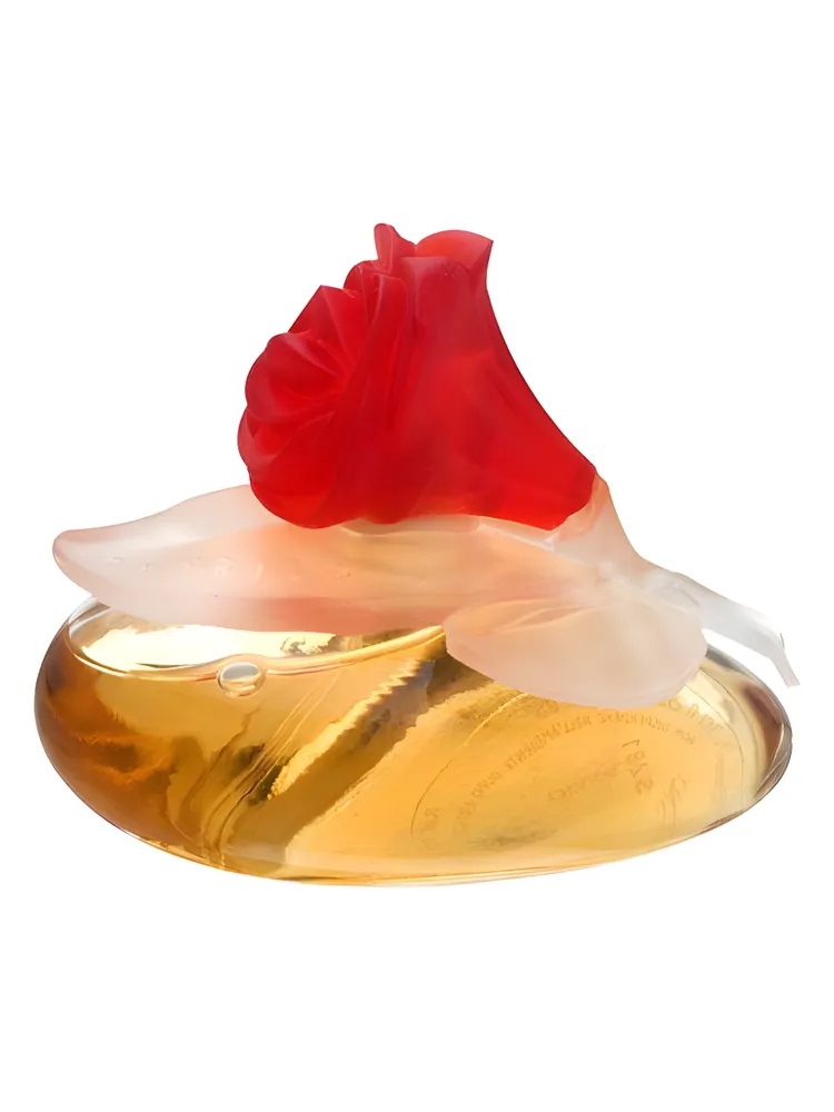 Fiorilu En Fleur