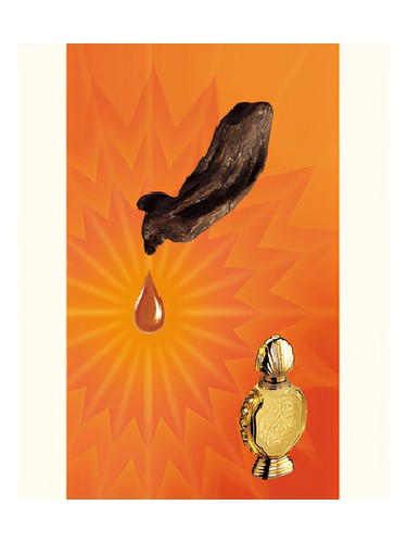 Shatha Al Oudh