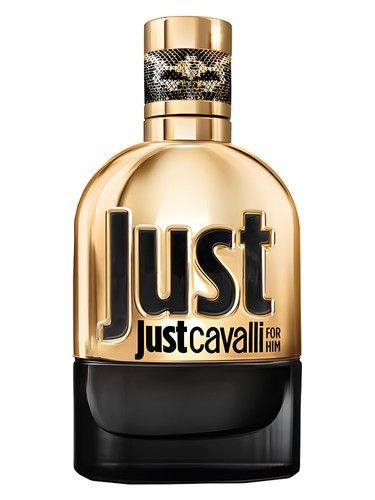 Just Cavalli Gold For Him