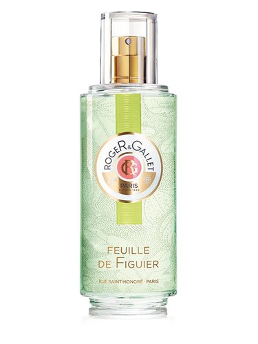 Feuille De Figuier