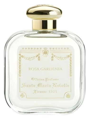 Rosa Gardenia