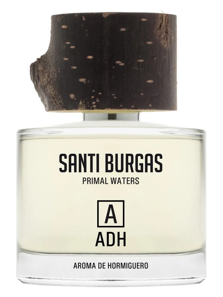 Aroma de Hormiguero