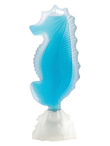 Seahorse