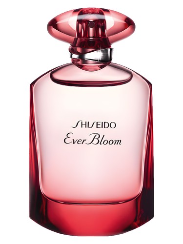 Ever Bloom Ginza Flower