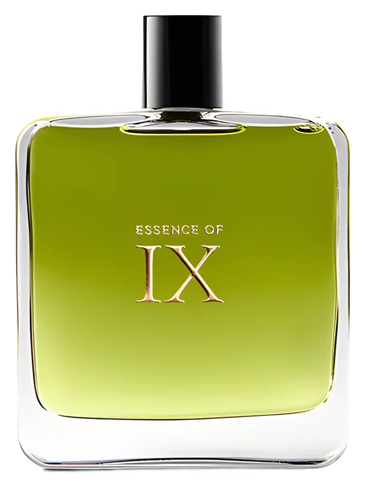 Essence of IX