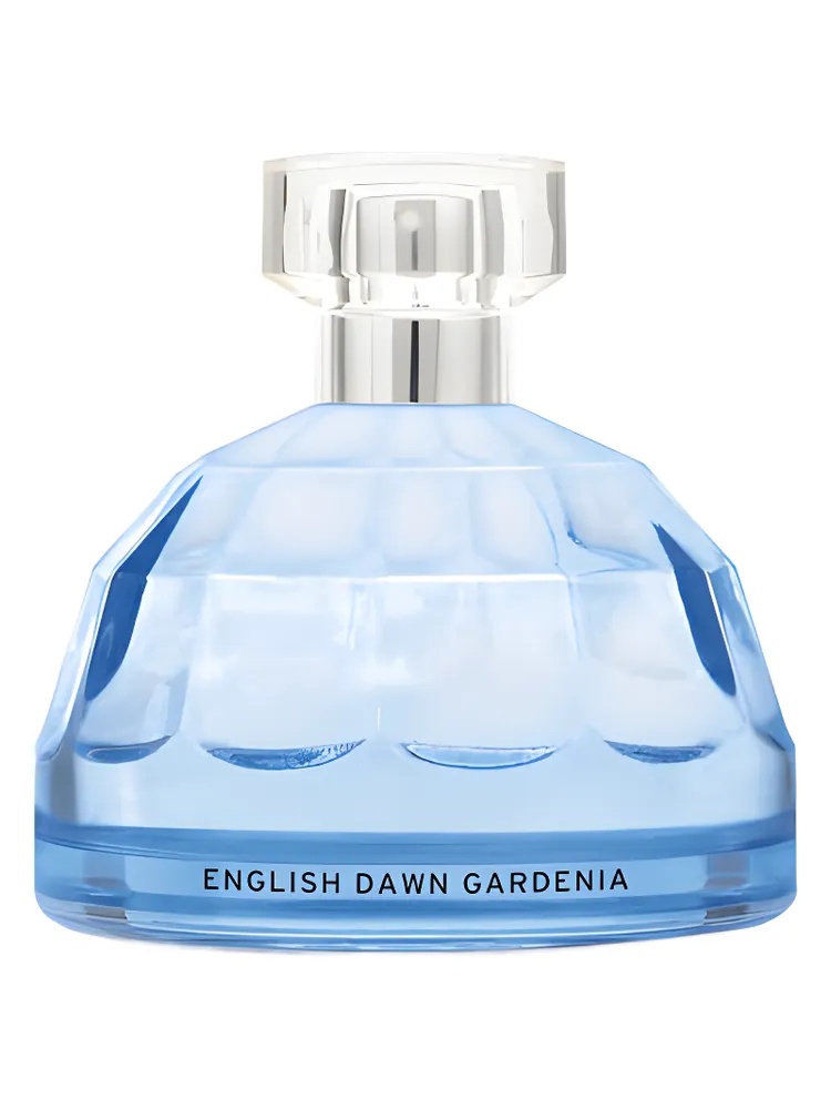 English Dawn White Gardenia