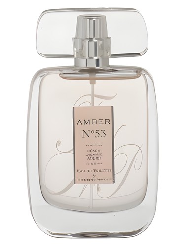 Amber N°53 