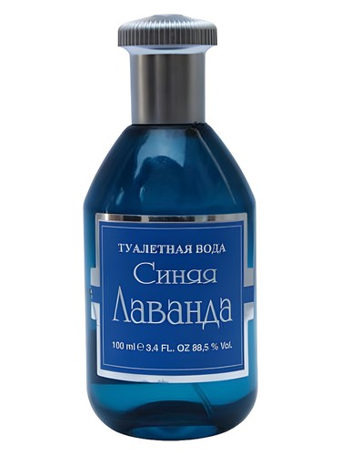 Синяя лаванда (Blue Lavender)