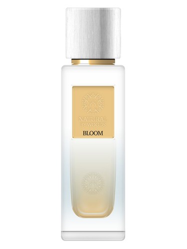 Bloom