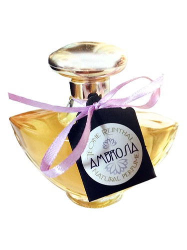 Ambrosia