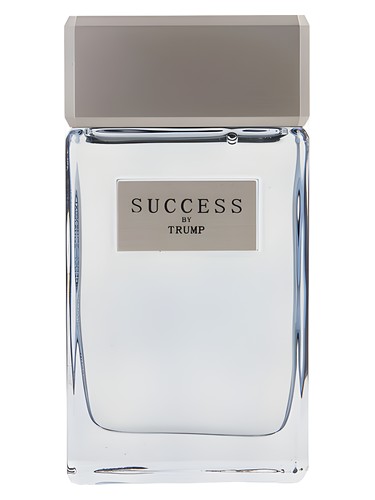 Success
