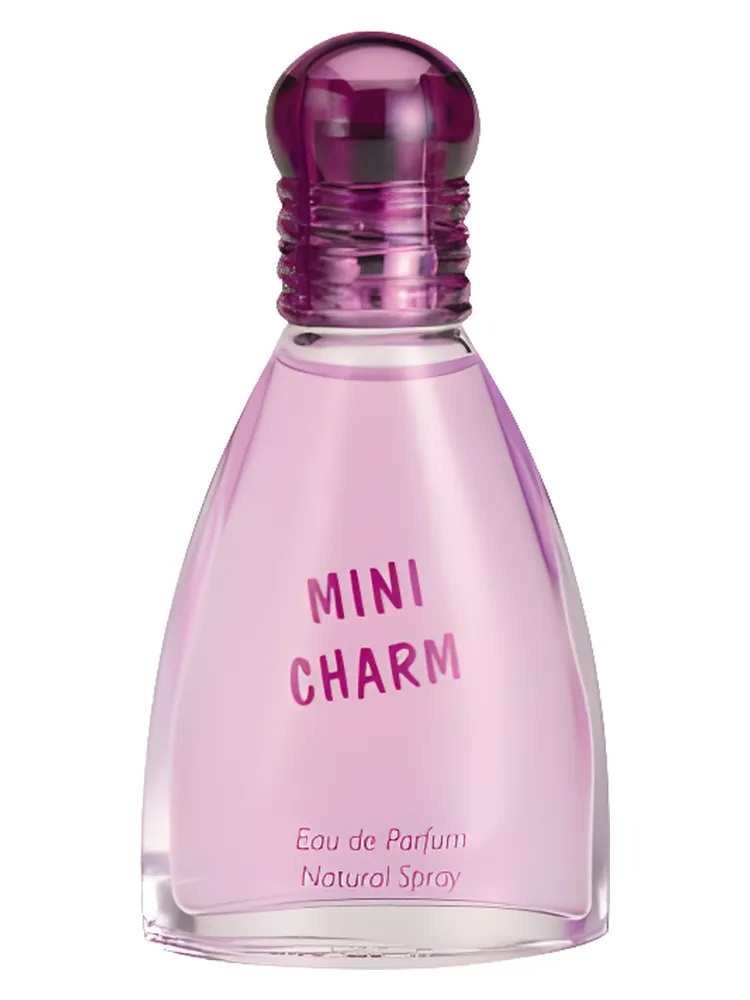 Mini Charm