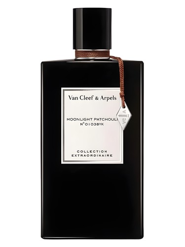 Moonlight Patchouli
