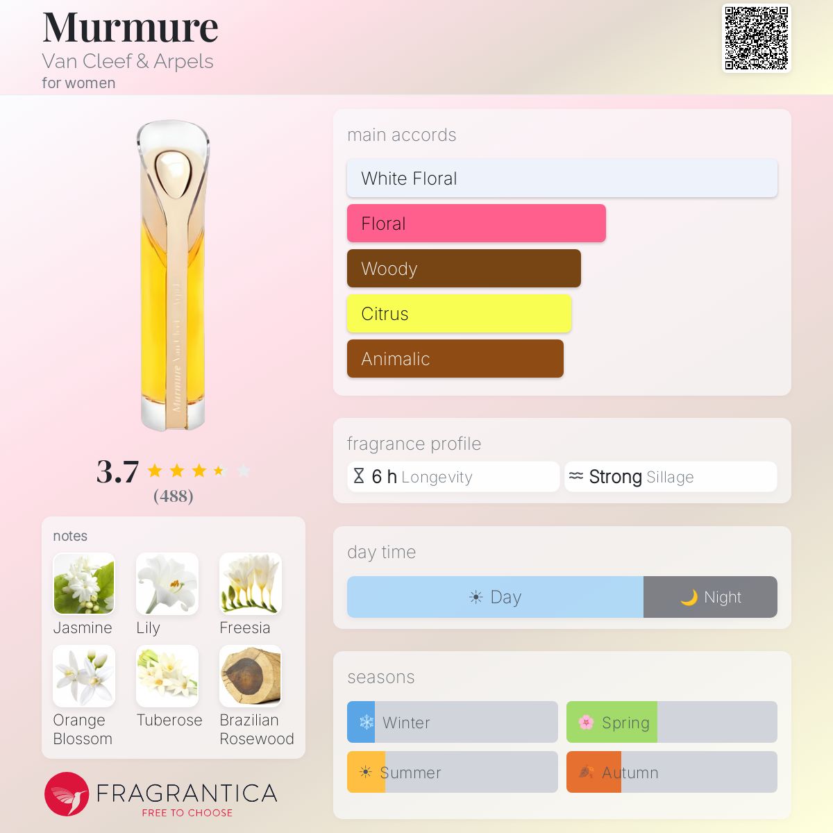Profile card