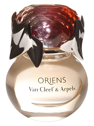 Primary bottle image