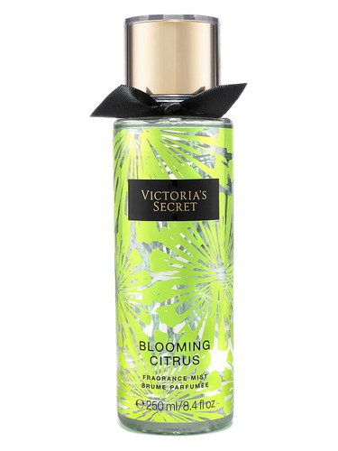 Blooming Citrus