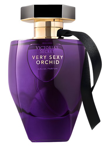 Very Sexy Orchid
