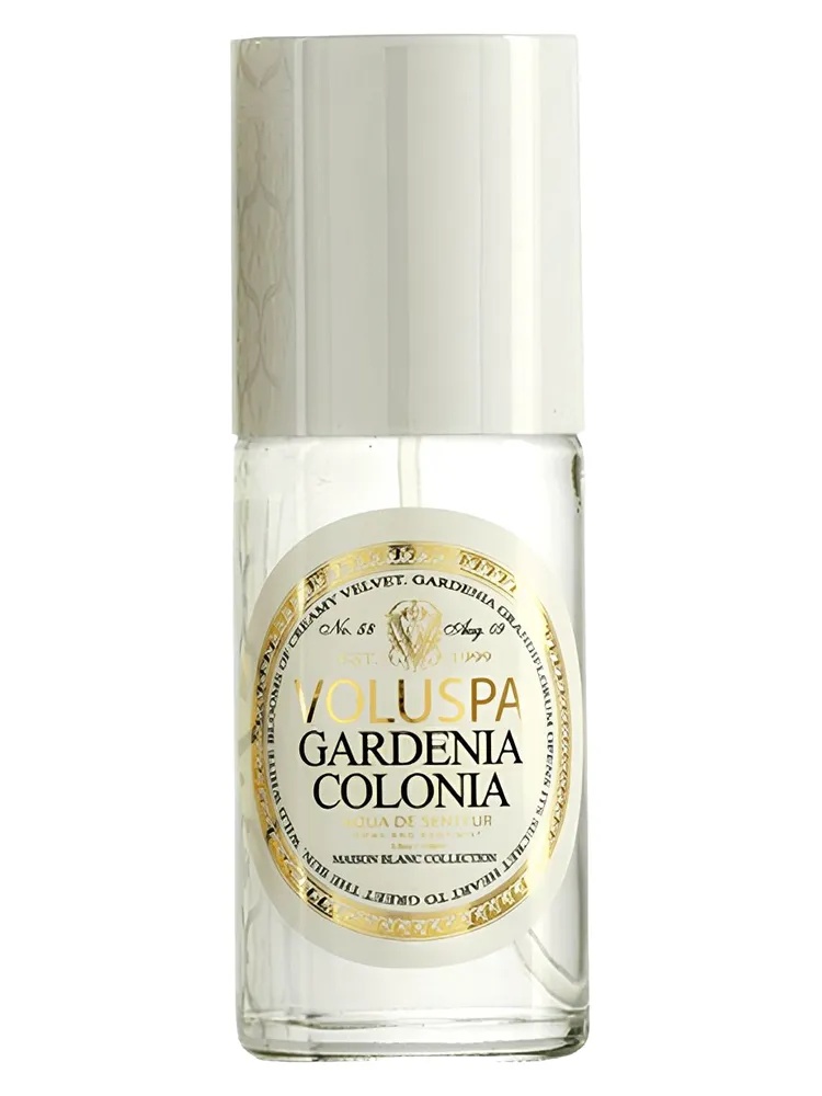 Gardenia Colonia