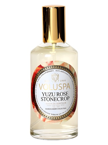 Yuzu Rose Stonecrop