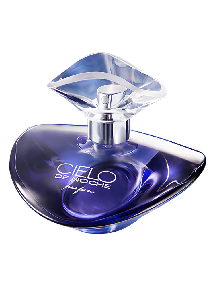 Cielo de Noche