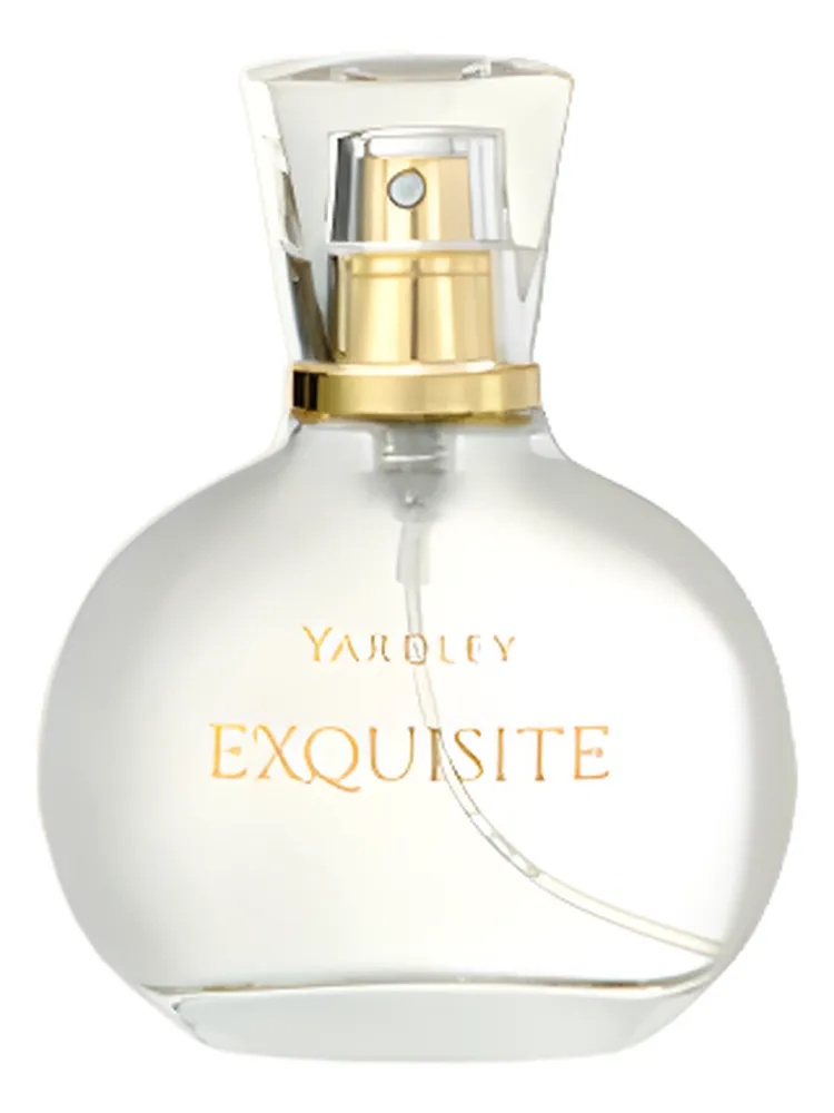Exquisite