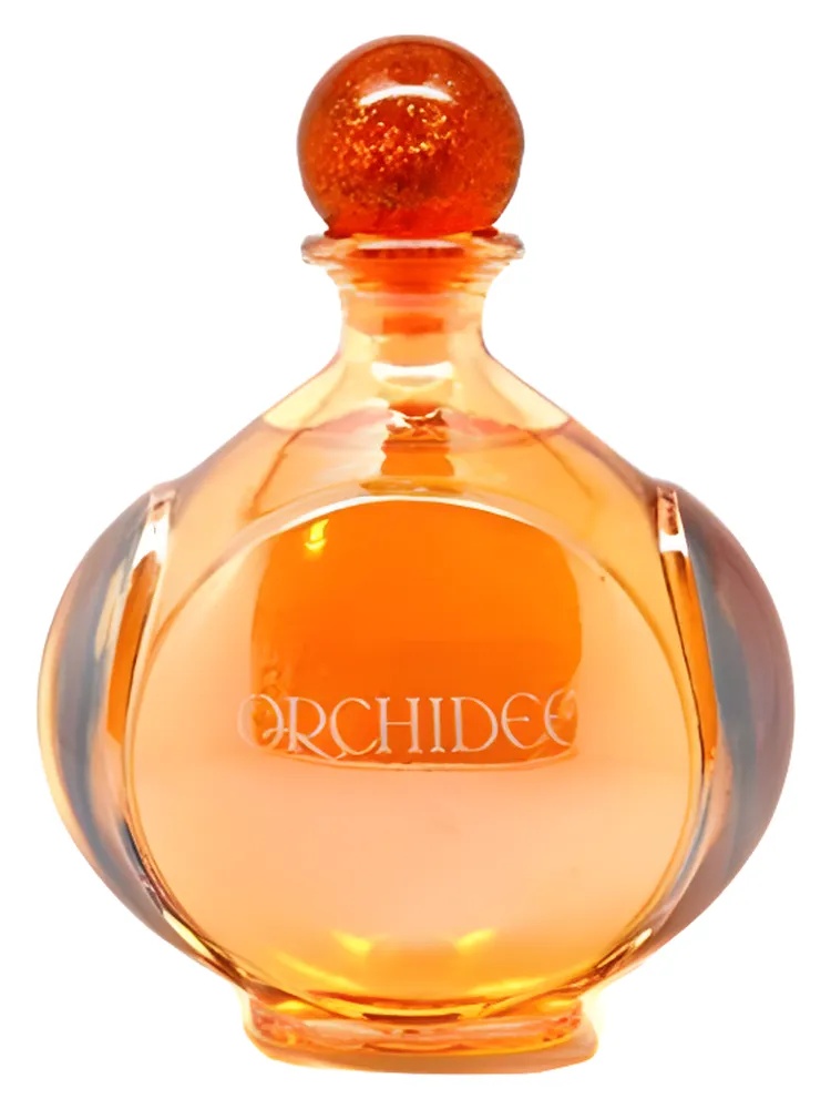 Orchidee
